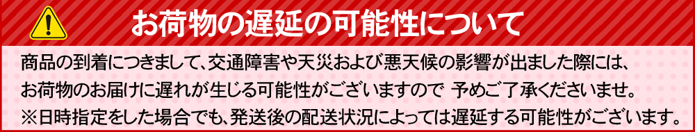 遅延、注意書き