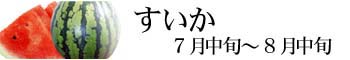 スイカ　でんすけすいか