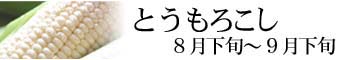 とうもろこし