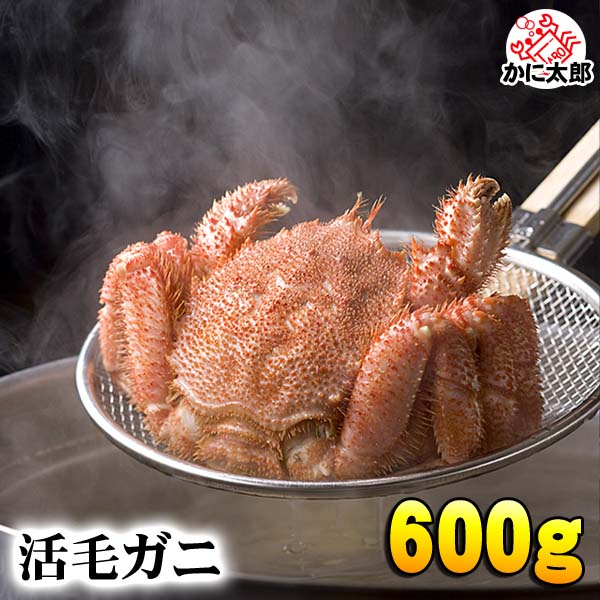 北海道産の毛蟹を産地直送 かに太郎