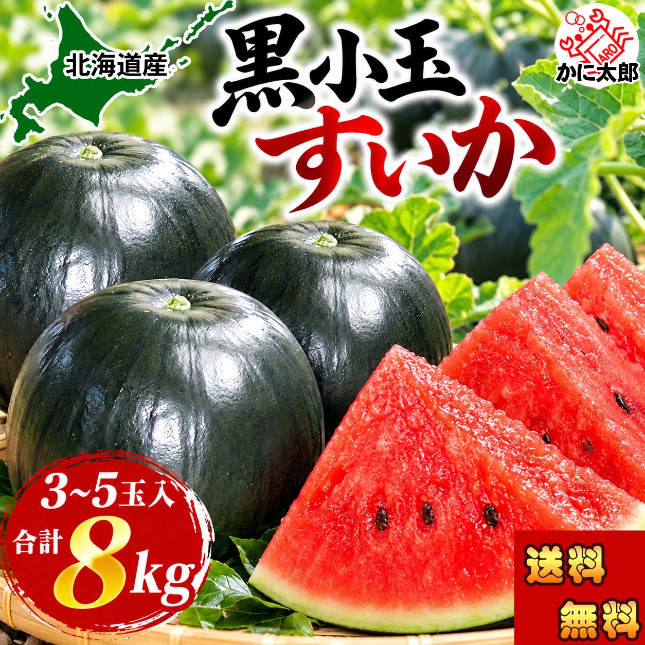 北海道 黒小玉すいか かに太郎