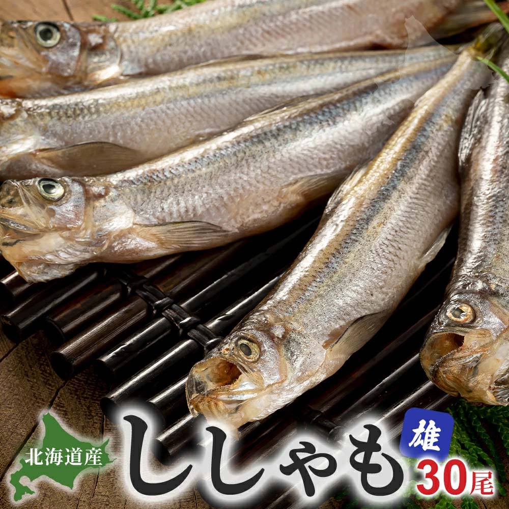 北海道産雄シシャモ通信販売 かに太郎