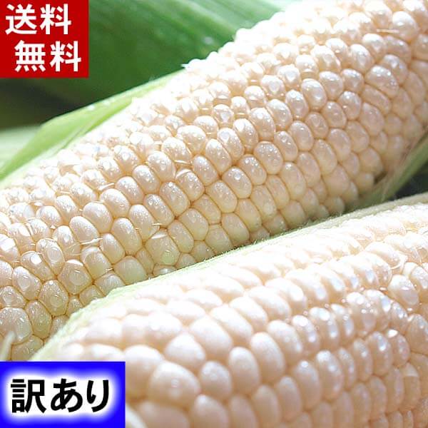 白いとうもろこし、生食可 かに太郎