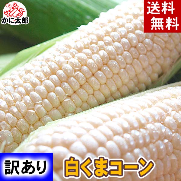 白いとうもろこし 生食可 かに太郎