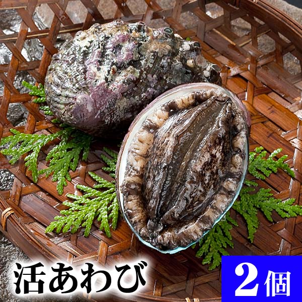 すべての花の画像 驚くばかり活き アワビ 食べ 方