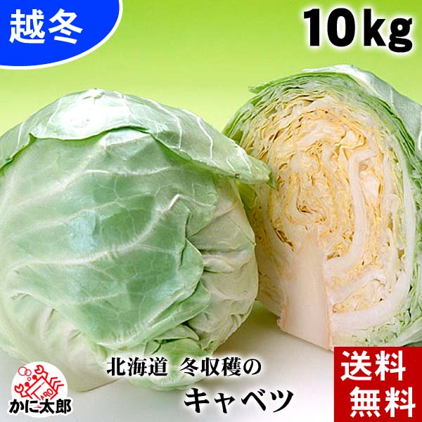 北海道産の越冬キャベツ 雪の下キャベツ