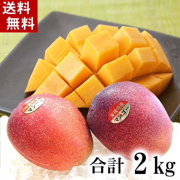 沖縄産　アップルマンゴー