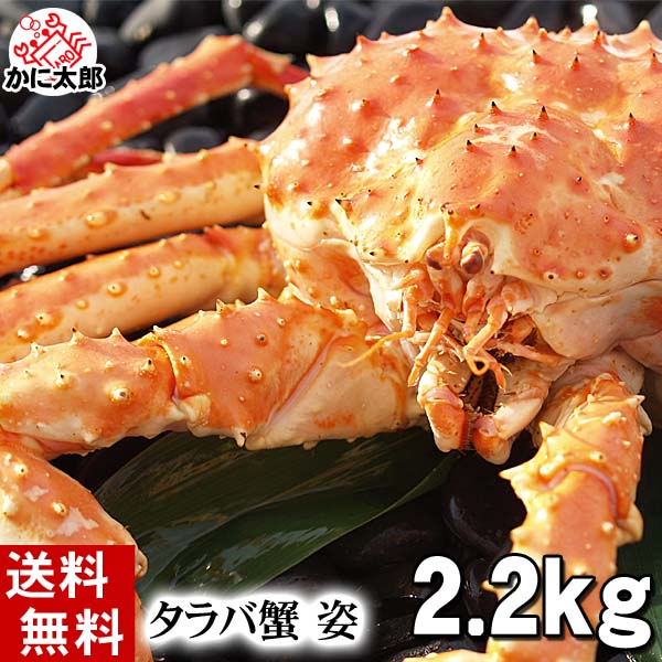 タラバガニ姿 ギフトにお勧め かに太郎