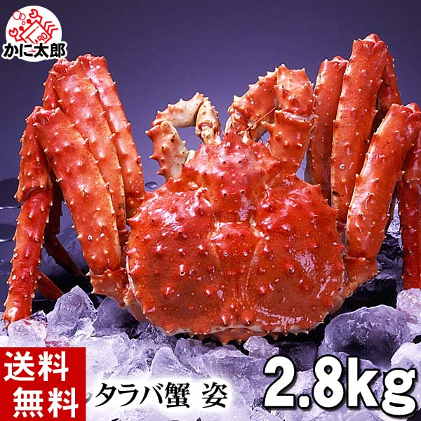 タラバガニ姿 ボイル冷凍 蟹通販
