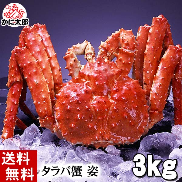 特大タラバ姿 極太のカニ身のお出まし かに太郎