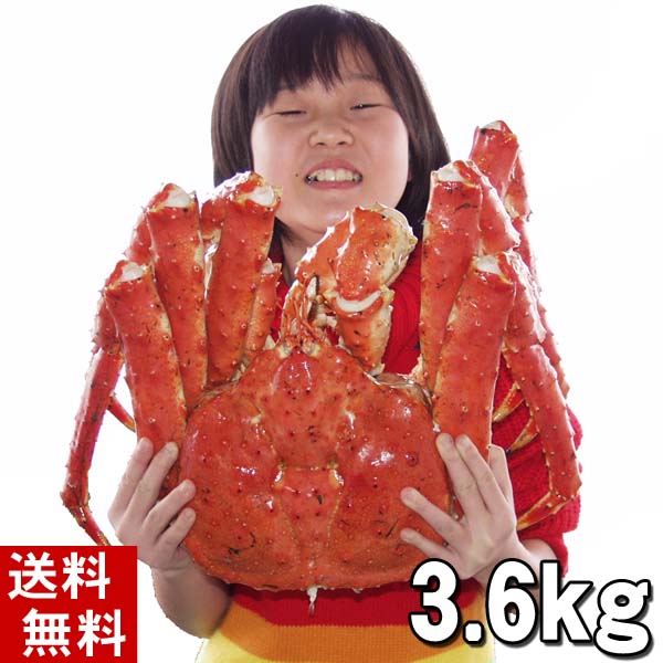 本タラバカニ 姿 冷凍 かに太郎 お得な1 6ｋｇサイズから ４キロを超えるサイズまで豊富に在庫しております １２時までもご注文なら即日出荷可能です