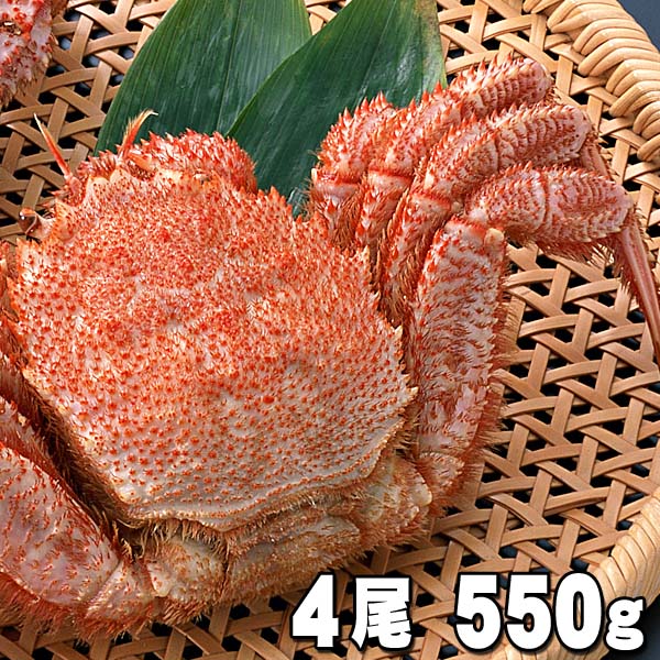 北海道産の毛ガニ 濃厚な蟹味噌もたっぷり詰まっています